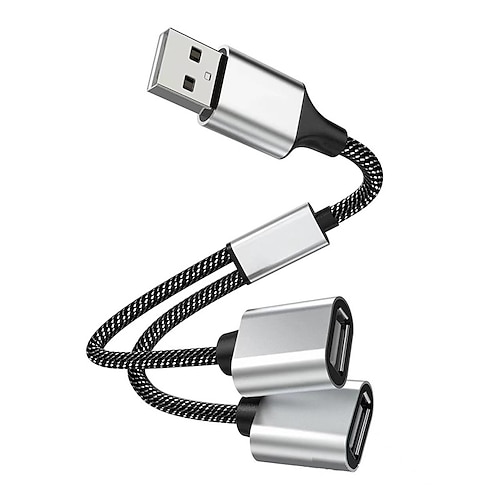 USB to USB*2