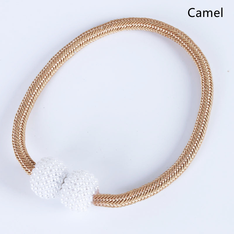 Camel